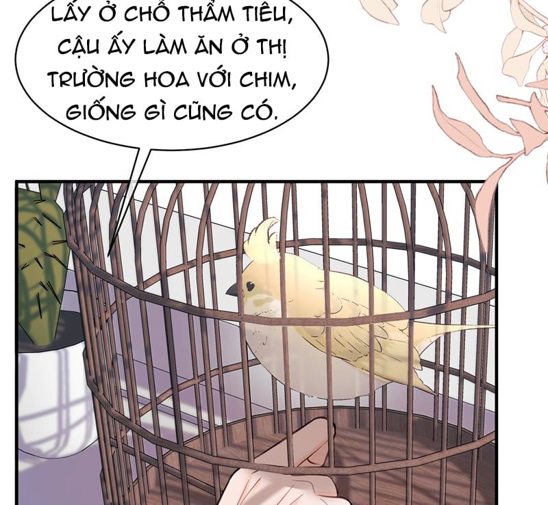 Anh Đừng Qua Đây Chapter 61 - 45
