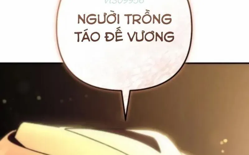 Thần Thịnh Vượng Chapter 11 - 26