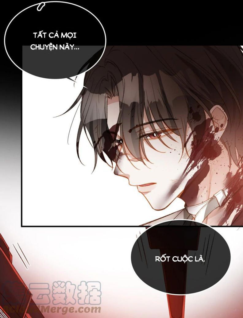 Nụ Hôn Vực Thẳm Chapter 95 - 12