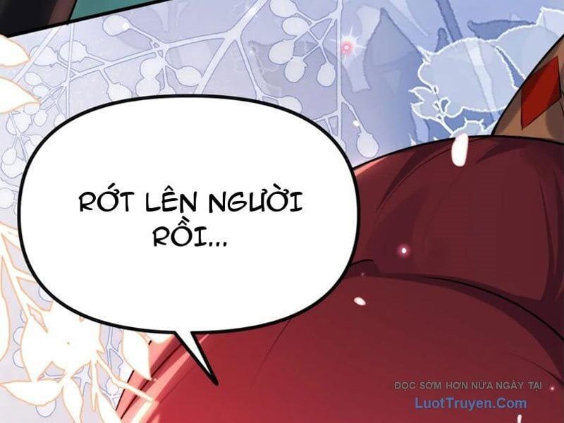 Nữ Đế, Ta Chỉ Yêu Đương Với Nương Tử Chapter 15 - 148