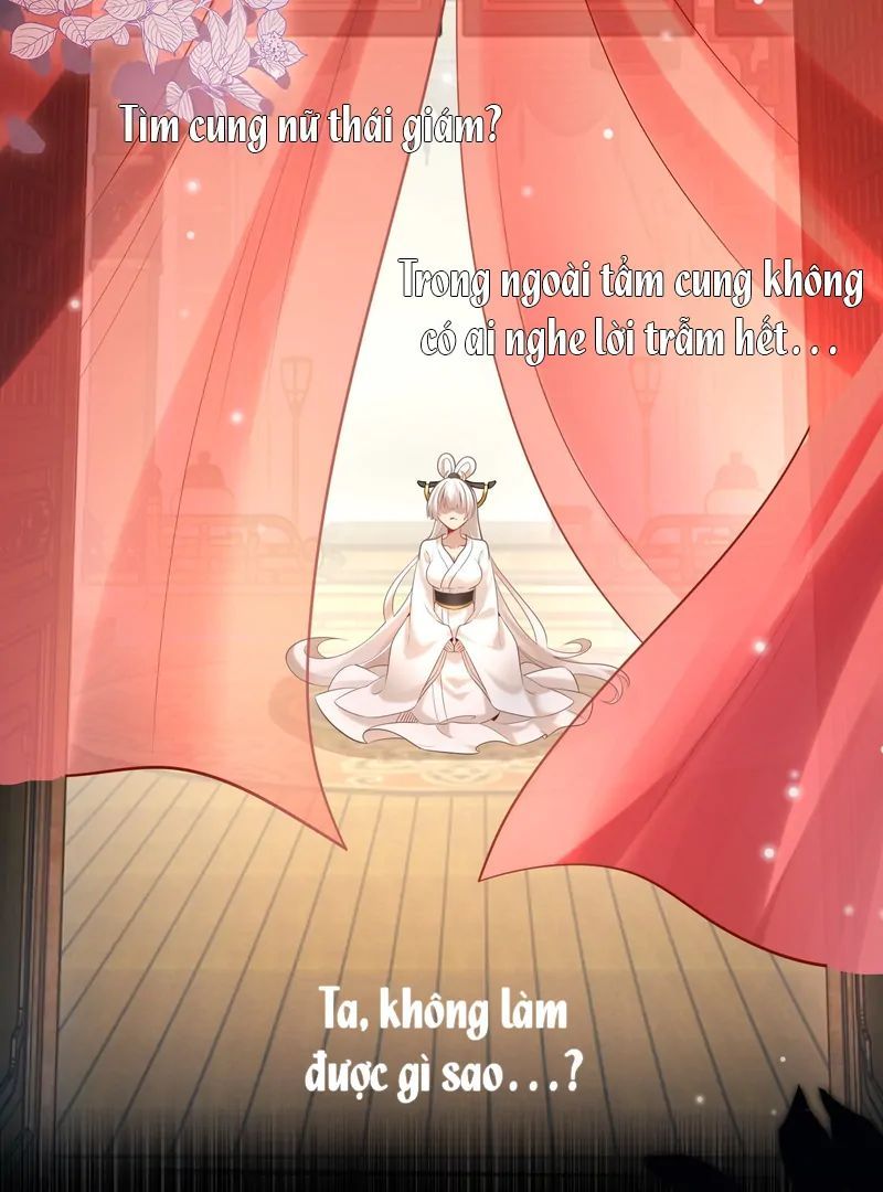 Nữ Đế, Ta Chỉ Yêu Đương Với Nương Tử Chapter 5 - 5