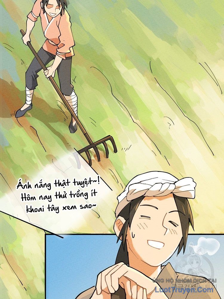 Linh Cấp Võ Giả Không Muốn Thăng Cấp Chapter 2 - 43