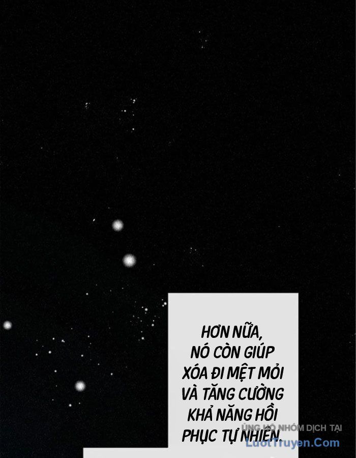 Pháp Sư Hỗ Trợ Bị Trục Xuất Trở Thành Hiền Giả Mạnh Nhất Chapter 1 - 69