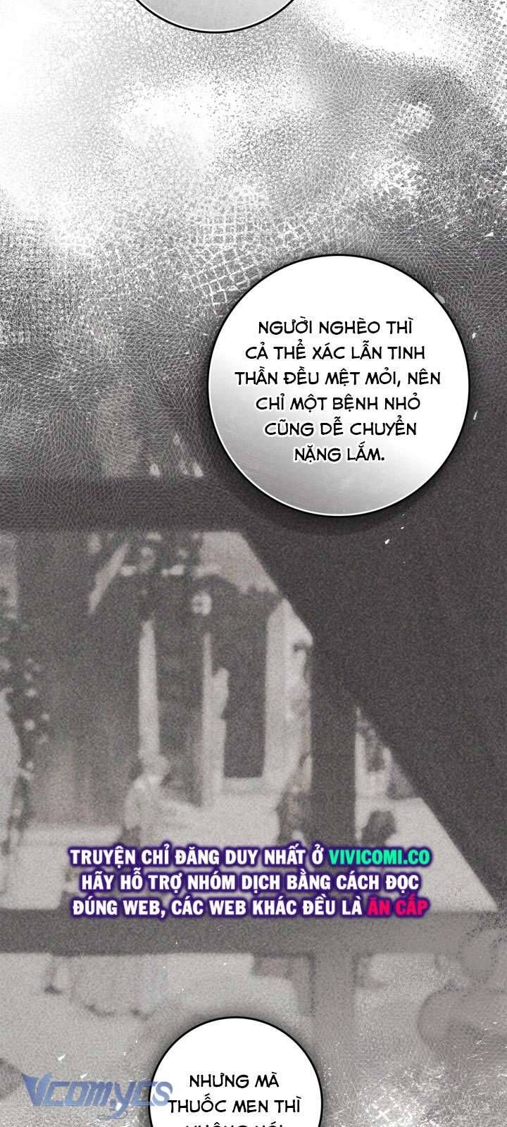 Dưới Bóng Cây Sồi Chapter 116 - 43