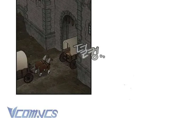 Dưới Bóng Cây Sồi Chapter 121 - 112