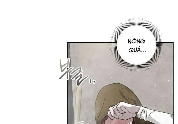 Dưới Bóng Cây Sồi Chapter 121 - 142