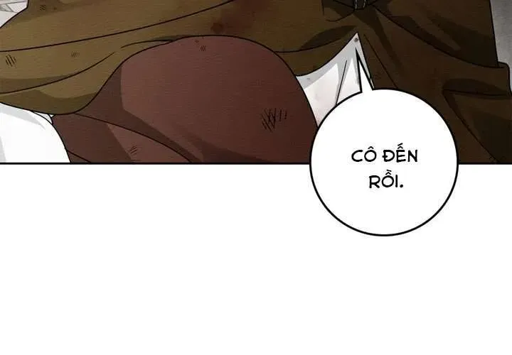 Dưới Bóng Cây Sồi Chapter 121 - 185