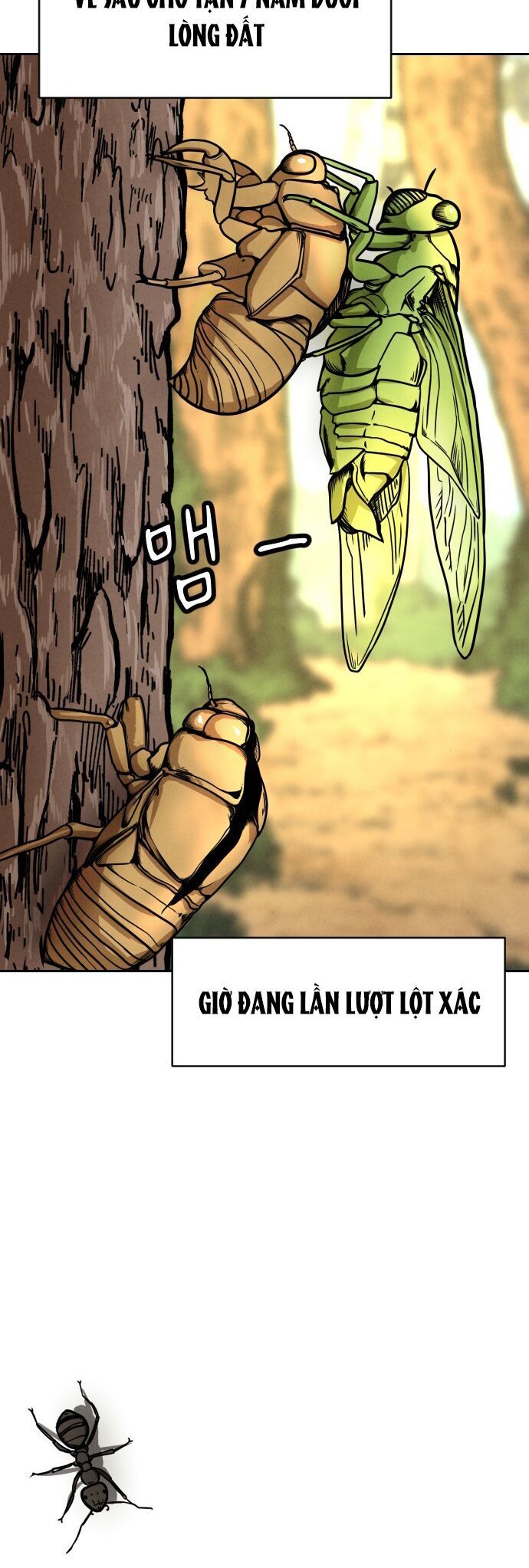 Vỏ Bọc Chapter 1 - 3