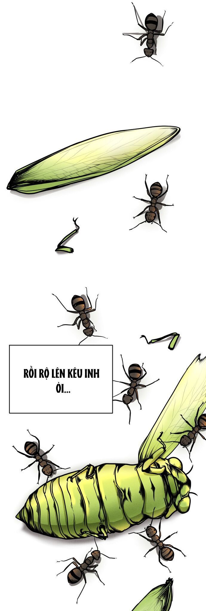 Vỏ Bọc Chapter 1 - 4