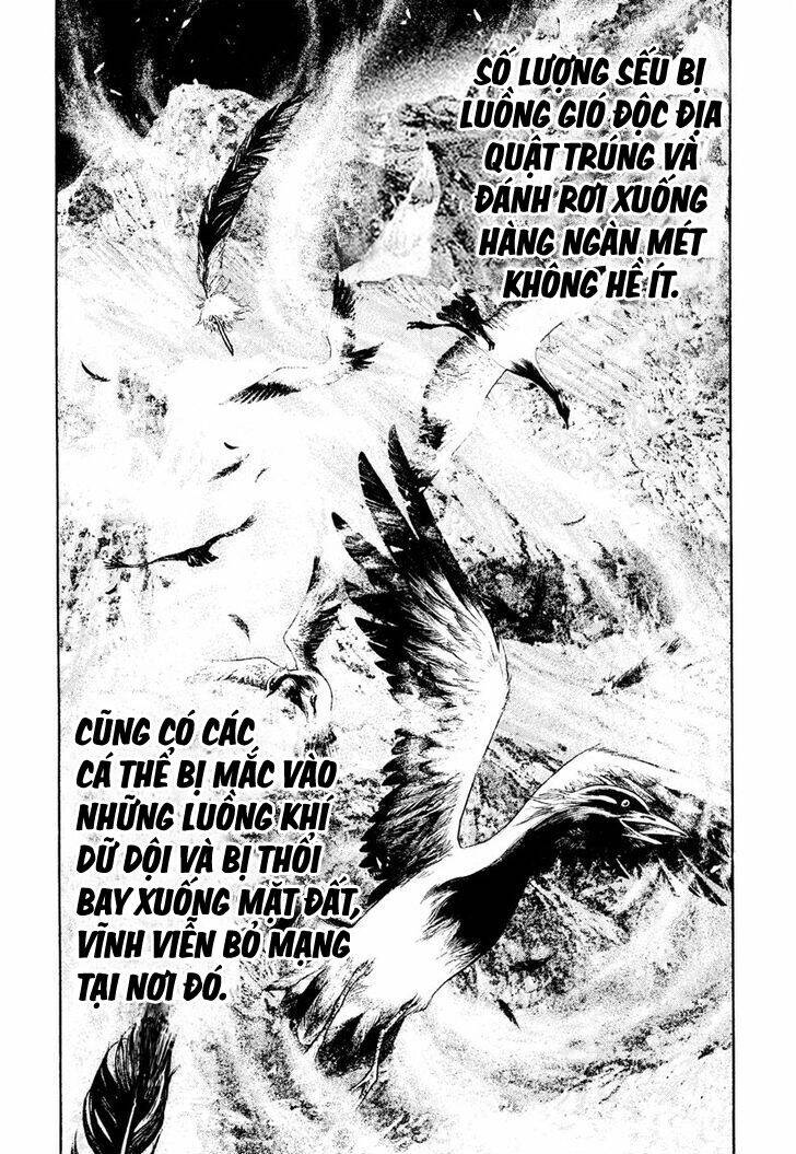 Kokou No Hito Chapter 168 - 13