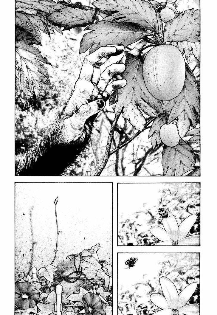 Kokou No Hito Chapter 168 - 19