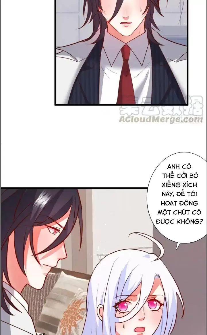 Hắc Đạo Này Có Chút Manh Chapter 211 - 33