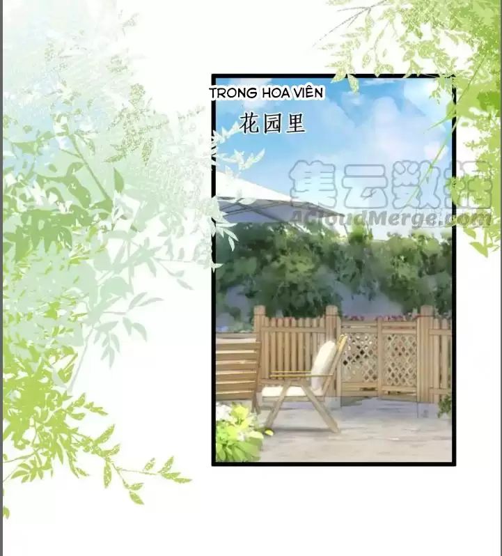 Hắc Đạo Này Có Chút Manh Chapter 214 - 27