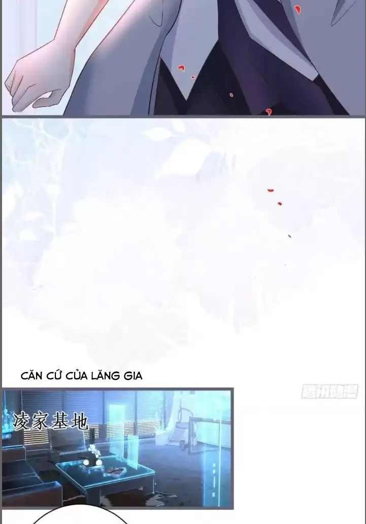 Hắc Đạo Này Có Chút Manh Chapter 231 - 11