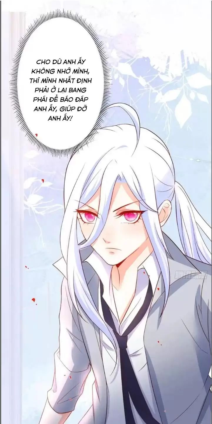 Hắc Đạo Này Có Chút Manh Chapter 231 - 10