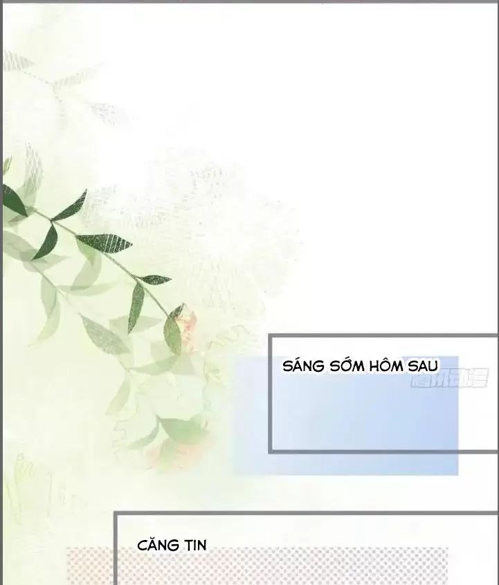Hắc Đạo Này Có Chút Manh Chapter 233 - 26