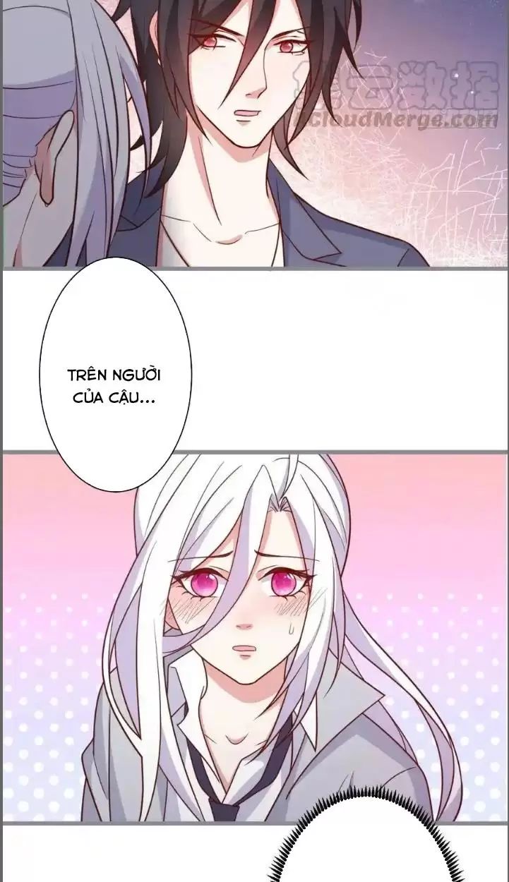 Hắc Đạo Này Có Chút Manh Chapter 234 - 27
