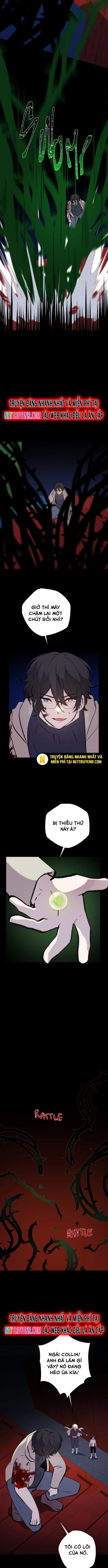 Trọng Sinh Mạc Thế Chapter 149 - 5