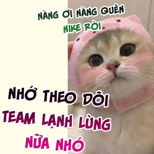 Độc Bộ Thiên Hạ: Đặc Công Thần Y Chapter 494 - 6