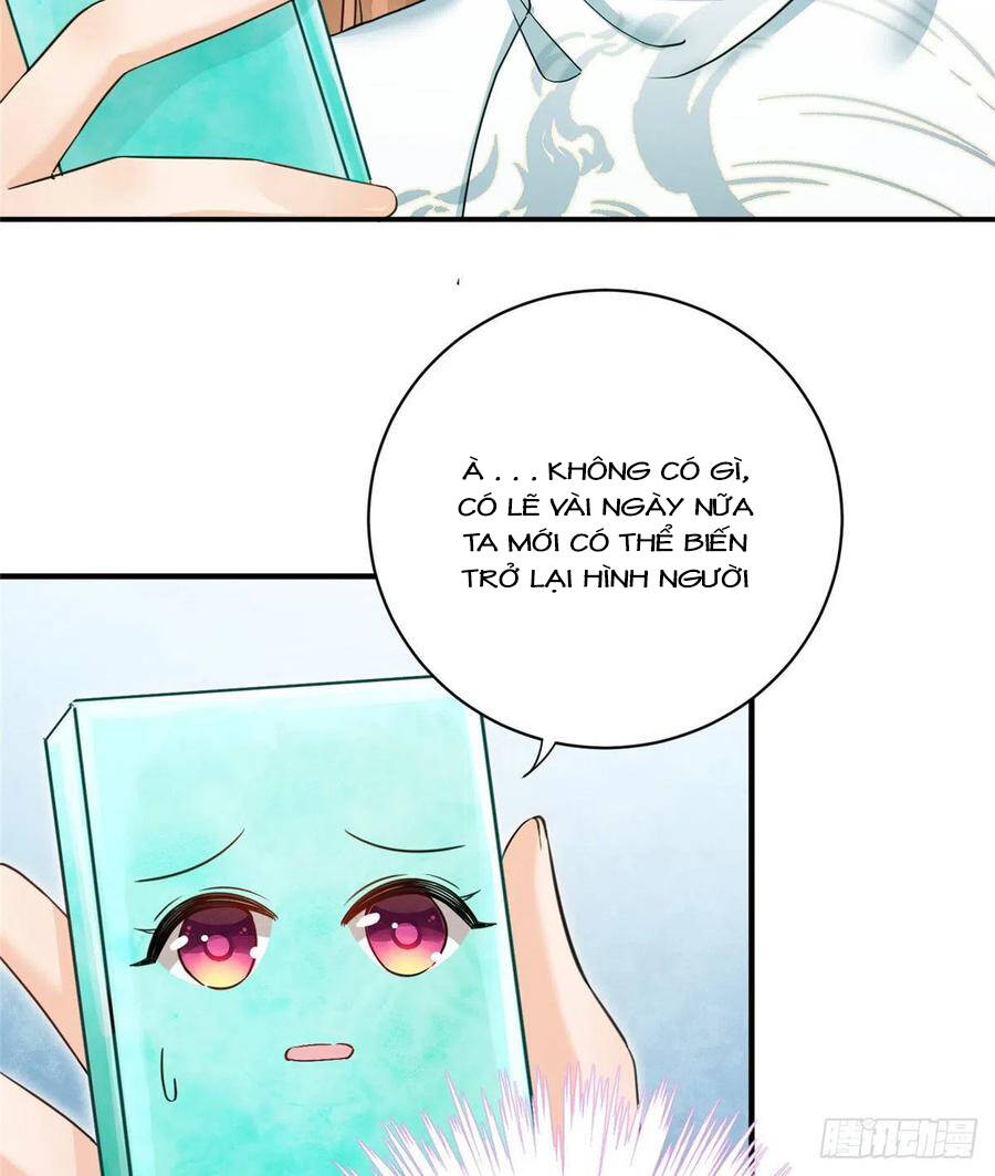 Đồ Đệ Nhà Ta Lại Quải Rồi Chapter 324 - 6