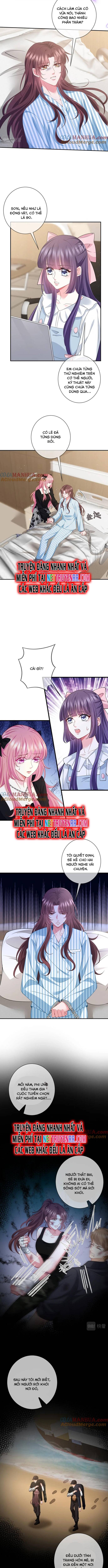 Danh Môn Chí Ái Chapter 477 - 4