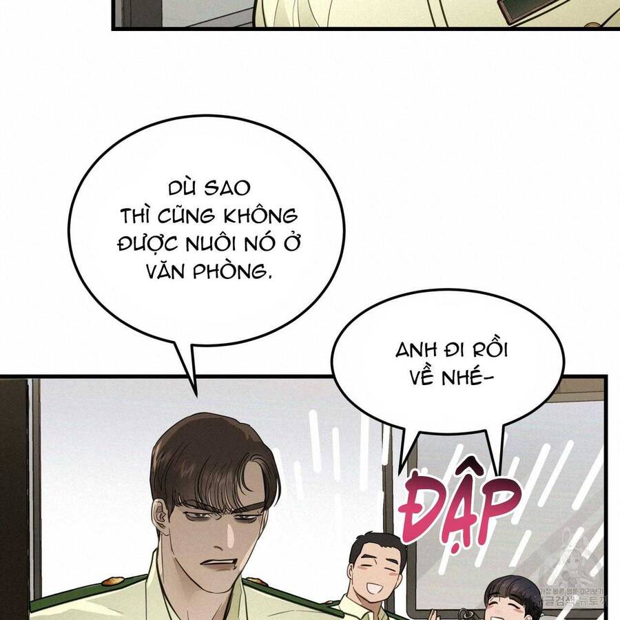 Người Lạ Trong Gương Chapter  13 - 47