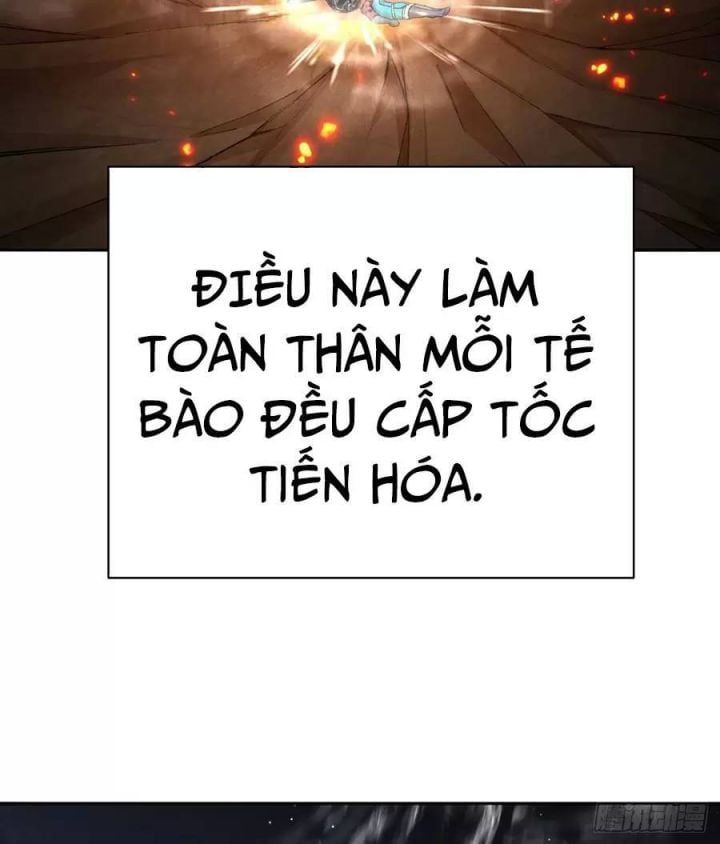 Ta Nhặt Được Thuộc Tính Tại Tu Chân Giới Chapter 232 - 45