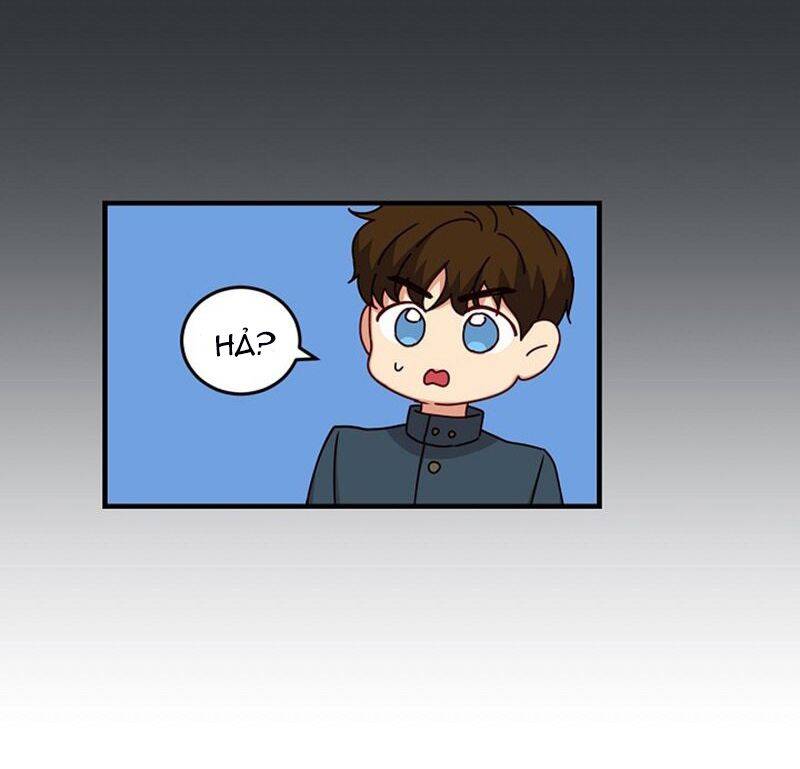 Đừng Chọc Đứa Em Gái Bé Bỏng Của Chúng Tôi Chapter 22 - 14