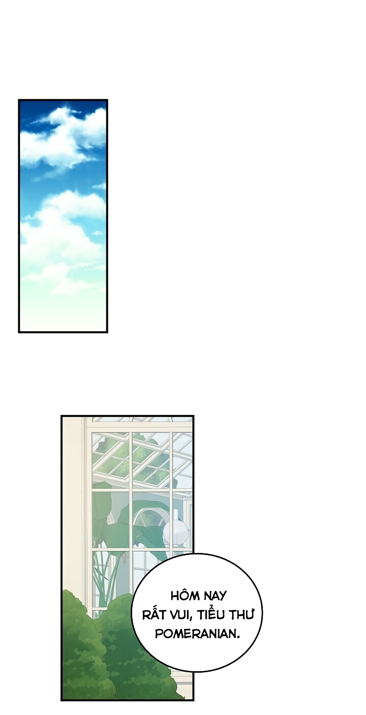 Đừng Chọc Đứa Em Gái Bé Bỏng Của Chúng Tôi Chapter 50 - 26