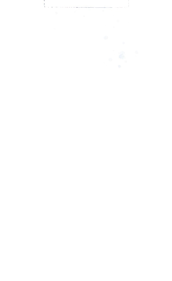 Đừng Chọc Đứa Em Gái Bé Bỏng Của Chúng Tôi Chapter 50 - 68