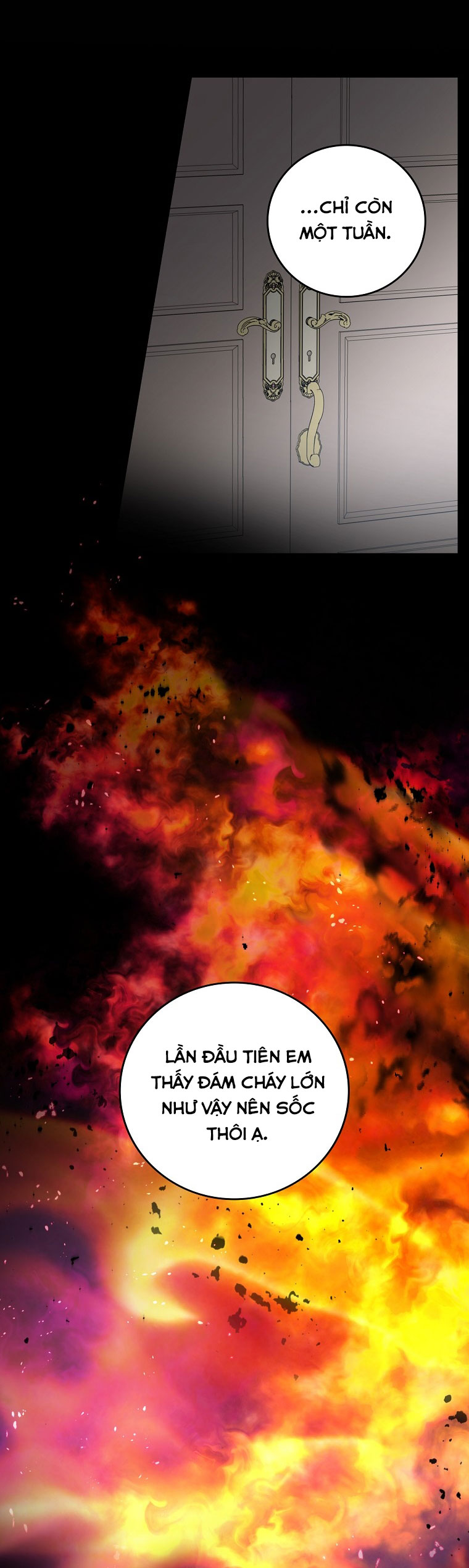 Đừng Chọc Đứa Em Gái Bé Bỏng Của Chúng Tôi Chapter  96 - 19