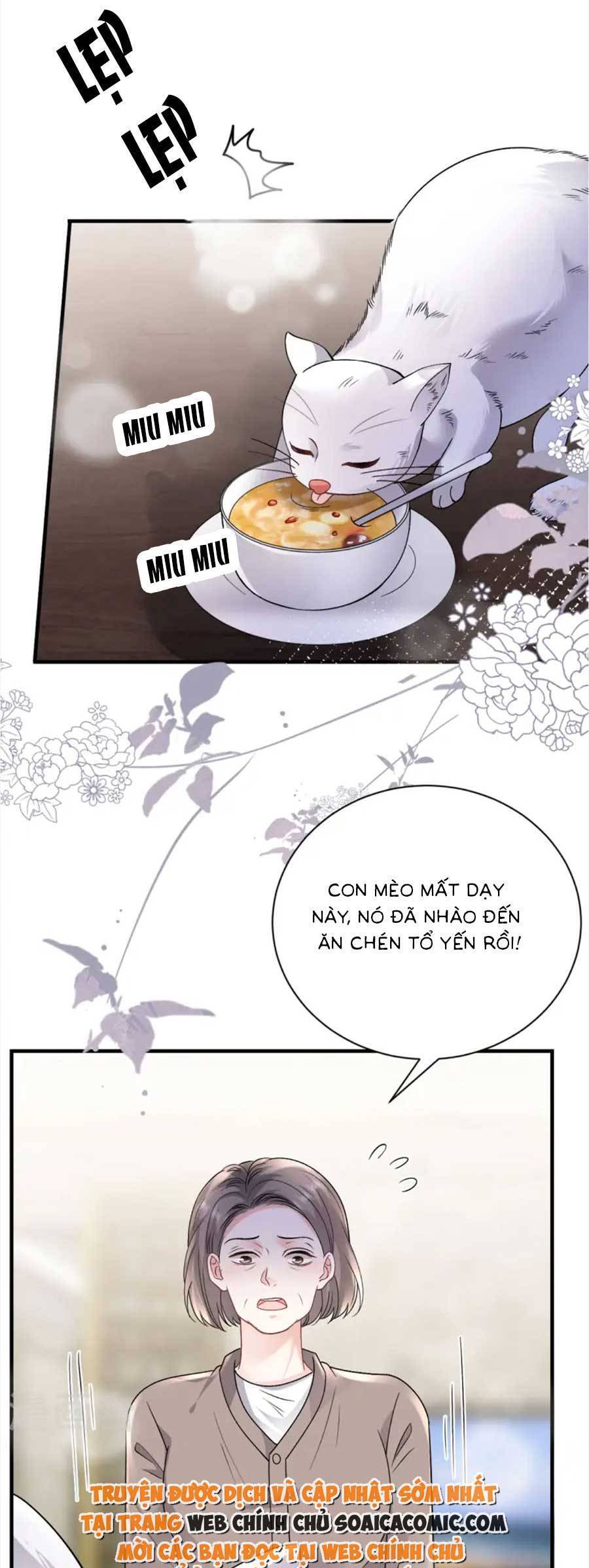 Đại Tiểu Thư Có Thể Có Cái Gì Xấu Chapter 176 - 23