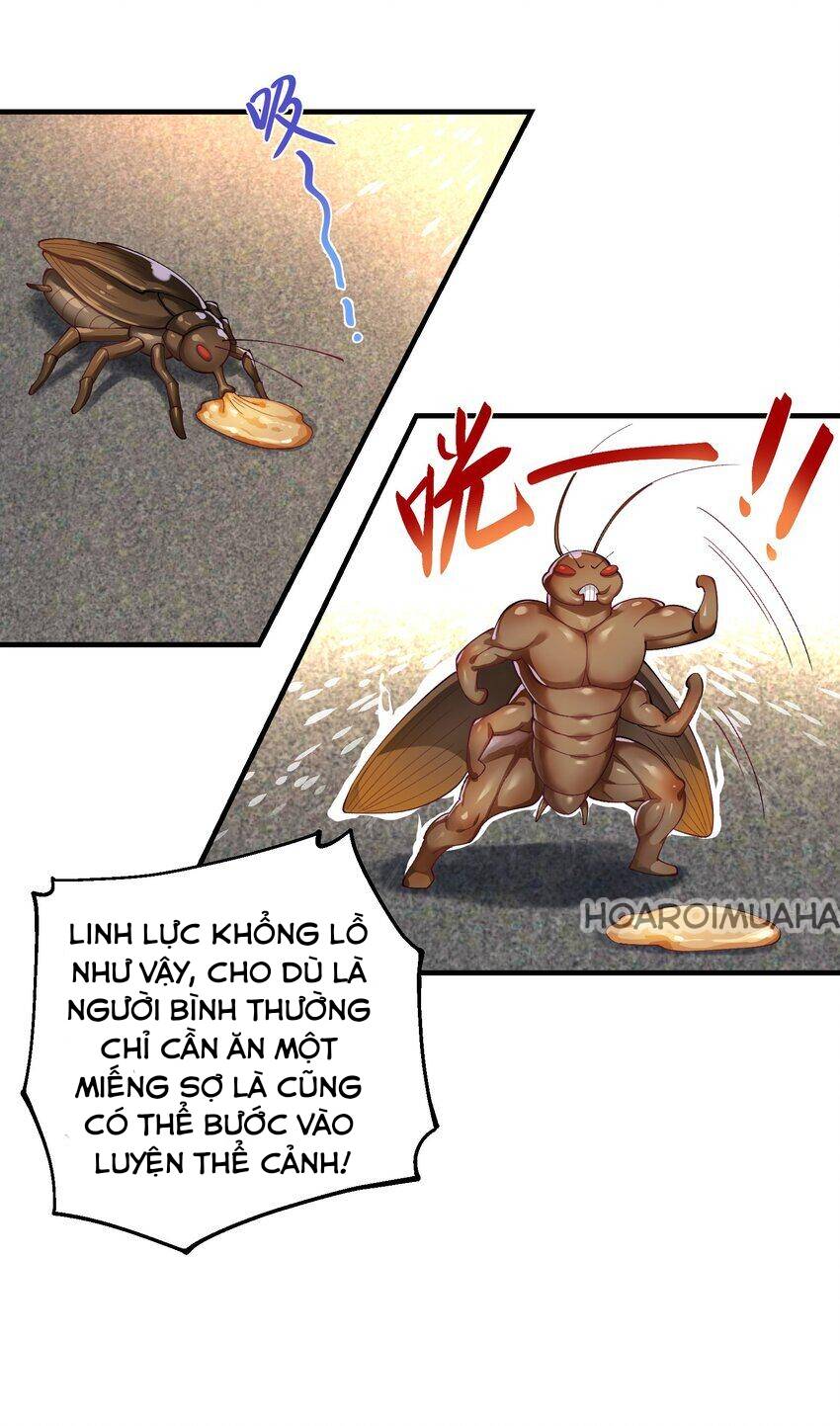 Sư Muội, Sư Huynh Muốn Bế Quan Chapter 6 - 25