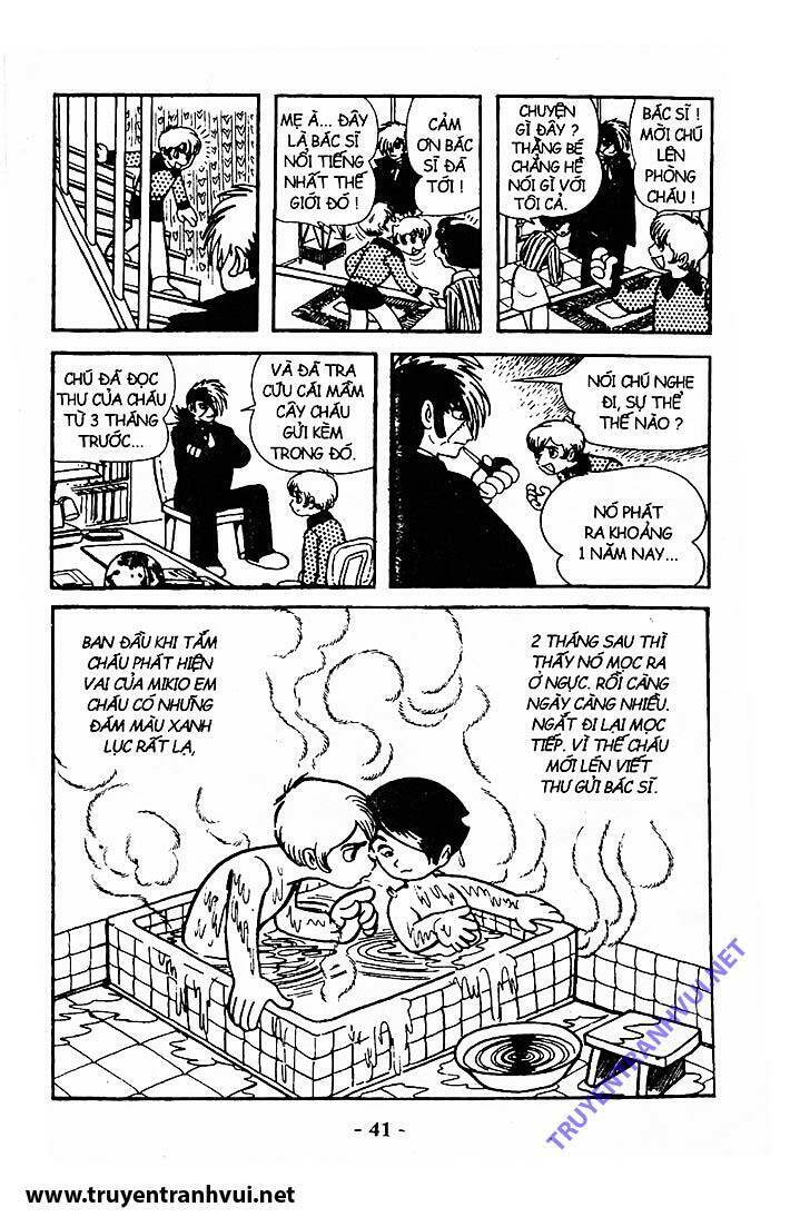 Black Jack Chapter 211 - 8